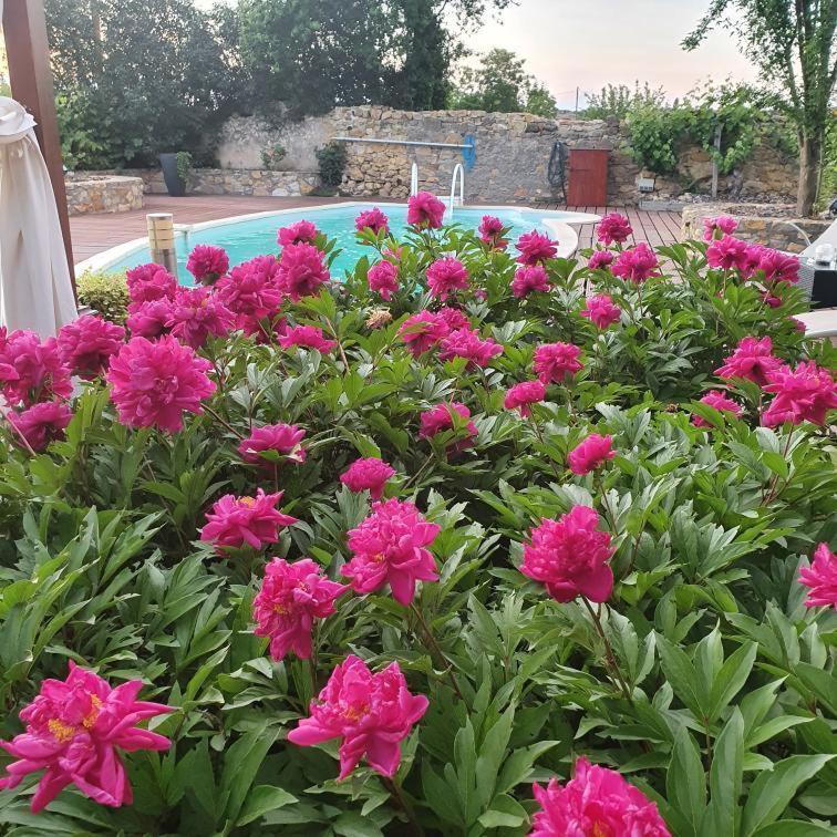 La Maison De Roussi Nonette ภายนอก รูปภาพ