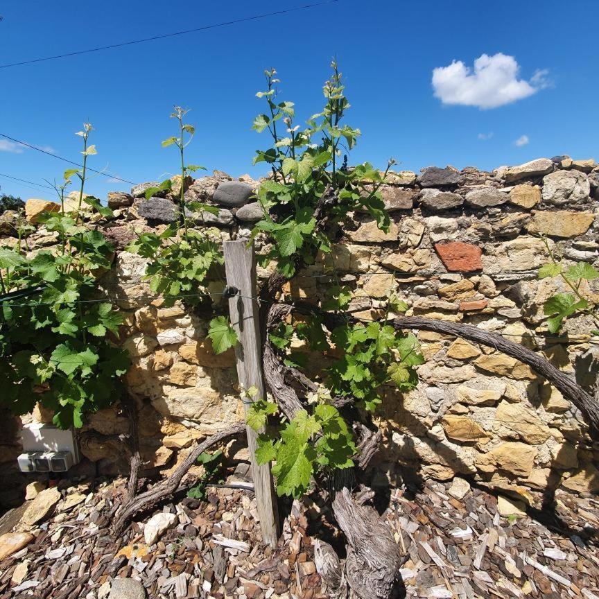 La Maison De Roussi Nonette ภายนอก รูปภาพ